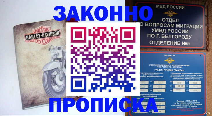 прописка для школы в Нововоронеже